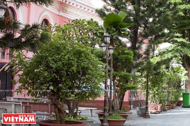 新定教堂景观。 越南画报记者 邓金芳