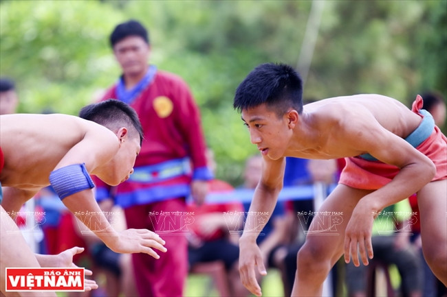 传统摔跤比赛节奏较快，摔交手动作灵敏快捷。