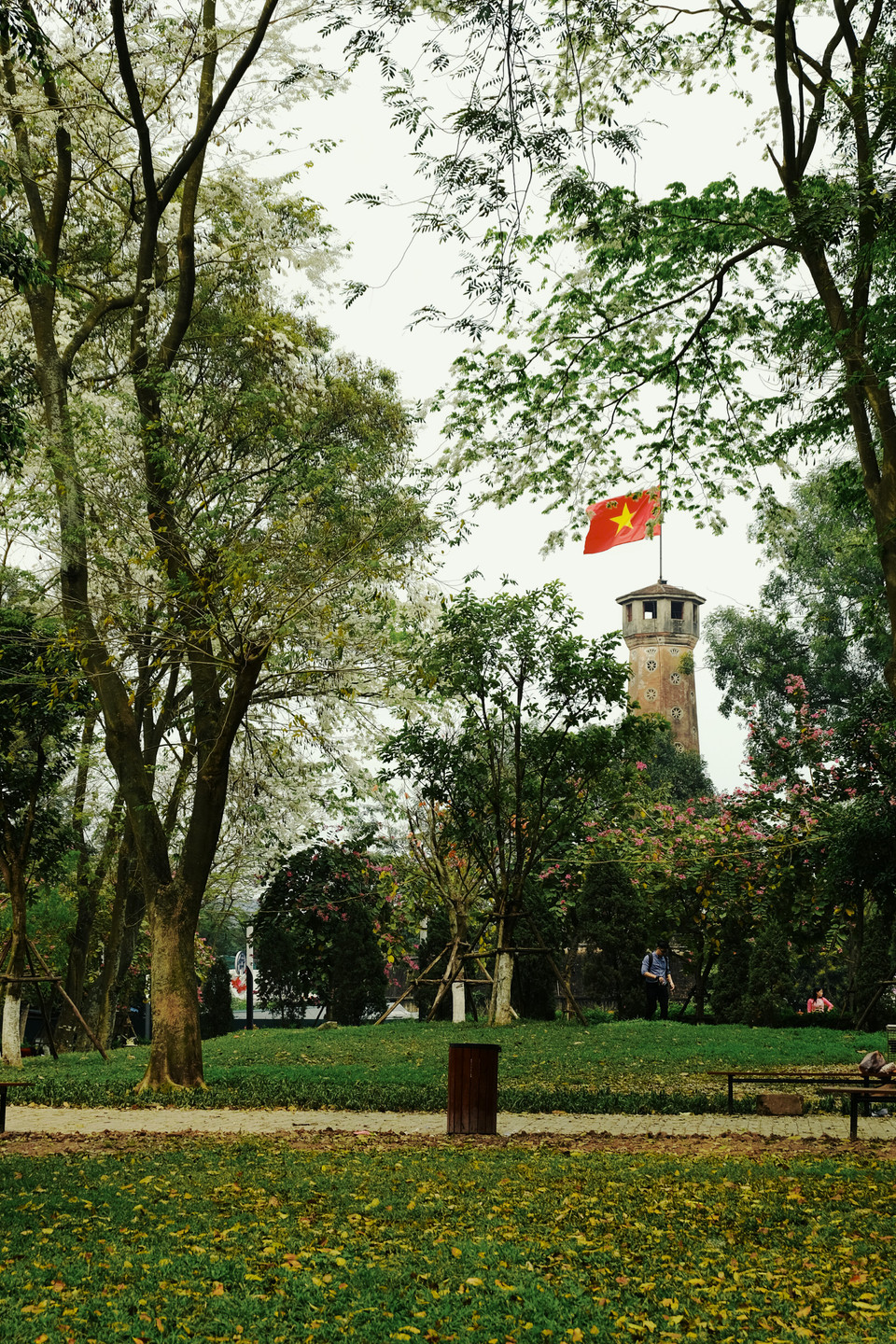 列宁公园位于河内旗台旁边，很方便游客前来赏花并参观河内首都这一著名的旅游景点。越通社记者 祥安 摄。