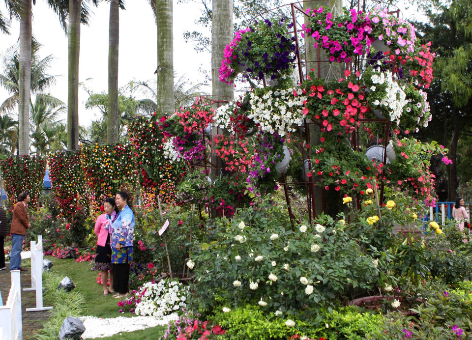此次玫瑰节汇聚保加利亚约1000种玫瑰花。越通社记者 青松 摄
