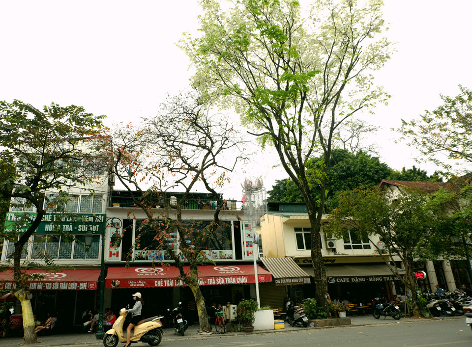 二征夫人路。越通社记者 祥安 摄。