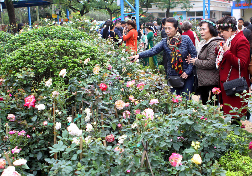 活动吸引众多当地居民和游客前来参观。越通社记者 青松 摄