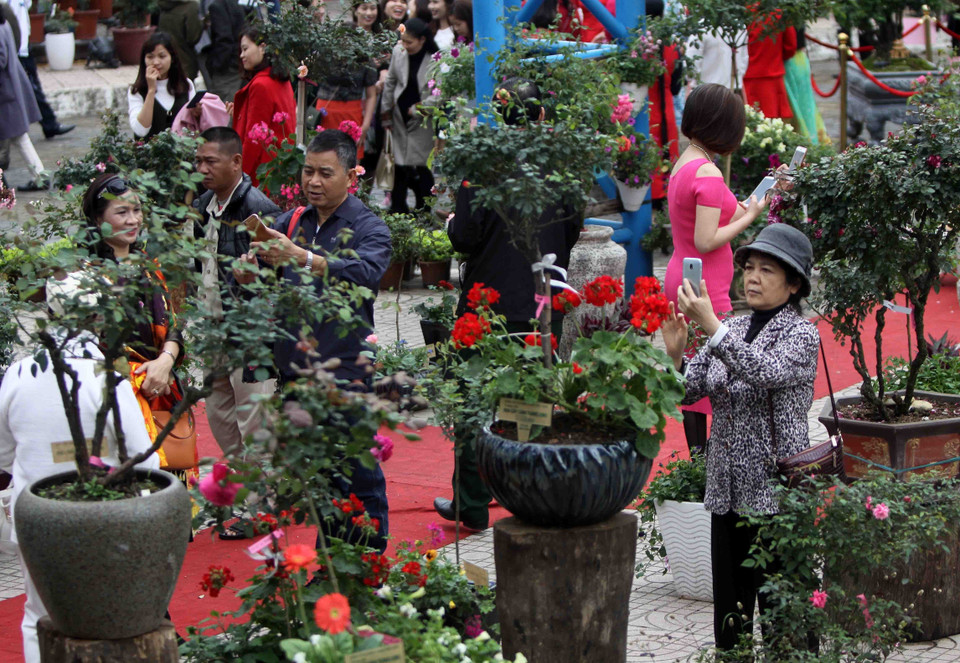 活动吸引众多当地居民和游客前来参观。越通社记者 青松 摄