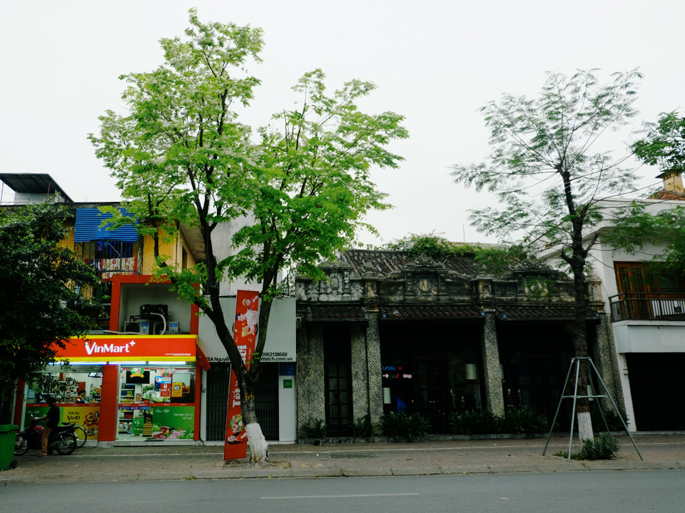 阮太学路。越通社记者 祥安 摄。