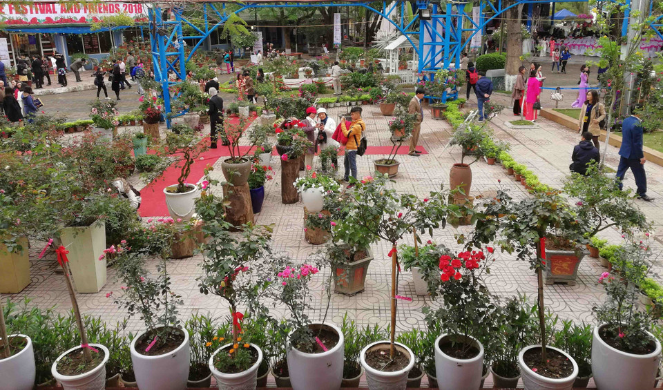 第二届保加利亚玫瑰与友人节将于3月11日结束。越通社记者 青松 摄