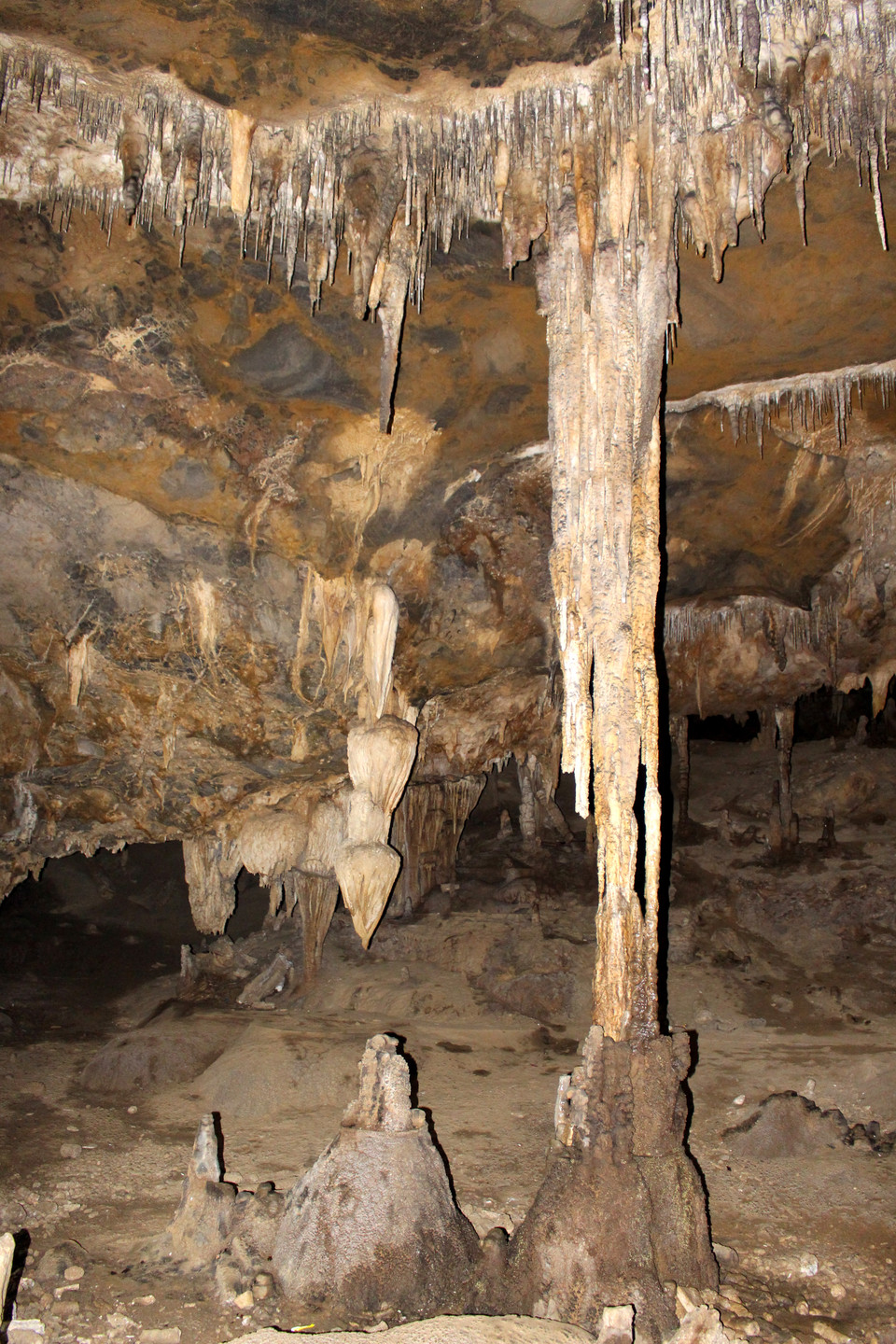 天堂洞的原始之美。越通社记者 功宣 摄