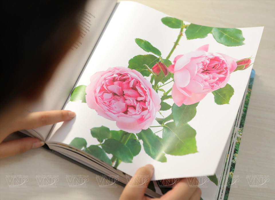 阮张煌珠喜欢看书和探索周围世界，拥有语言天赋，她看过很多英文和法文书籍，获取灵感，先在纸上打稿，后在蛋壳上画画。图自越通社/《越南画报》