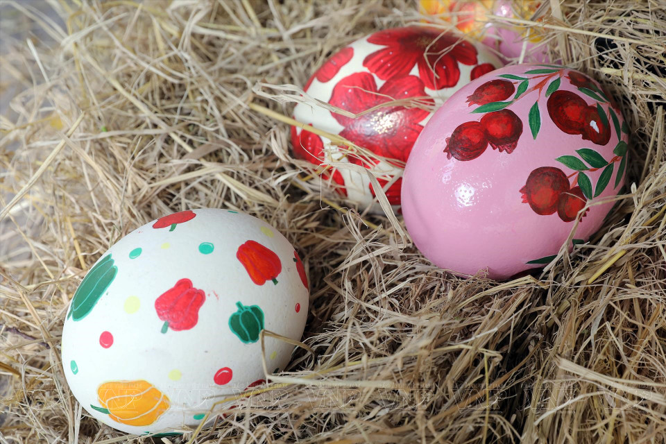 越南田园天然产品如菊花、玫瑰、兰花、西瓜、胡萝卜等以鲜艳色彩，栩栩如生地呈现在蛋壳上。 图自越通社/《越南画报》