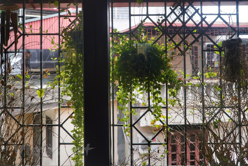  法国别墅建筑风格一直优先种植绿树，以调整室内温度。图片来源：vietnam+