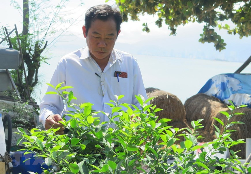 出生于1966年的退伍军人是在鬼鹿角礁海战中活下来的人。（越通社记者潘六 摄）