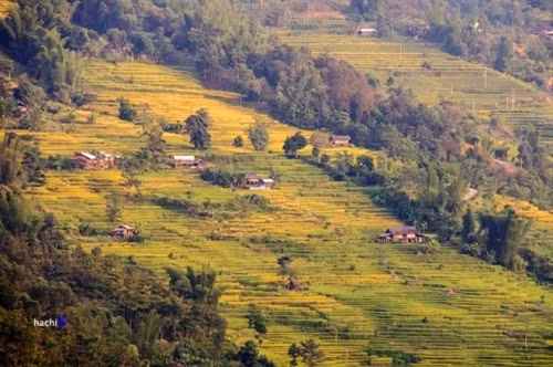 这里少数民族同胞的勤劳双手控制地势险要，路途多险，种植出茫茫无际的梯田（图片来源：vnexpress.net）