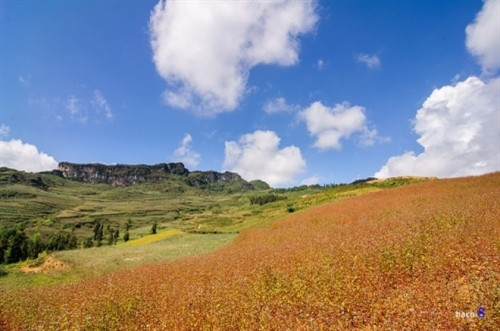 雄壮的梯田，原始的山峦，艳丽的花草成为箐门最大的吸引力（图片来源：vnexpress.net）