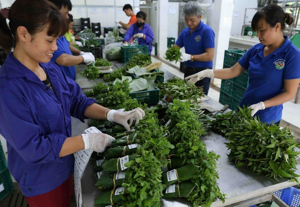 不使用食品袋和塑料袋也是保护清洁水源的极其有效的措施。图自越通社