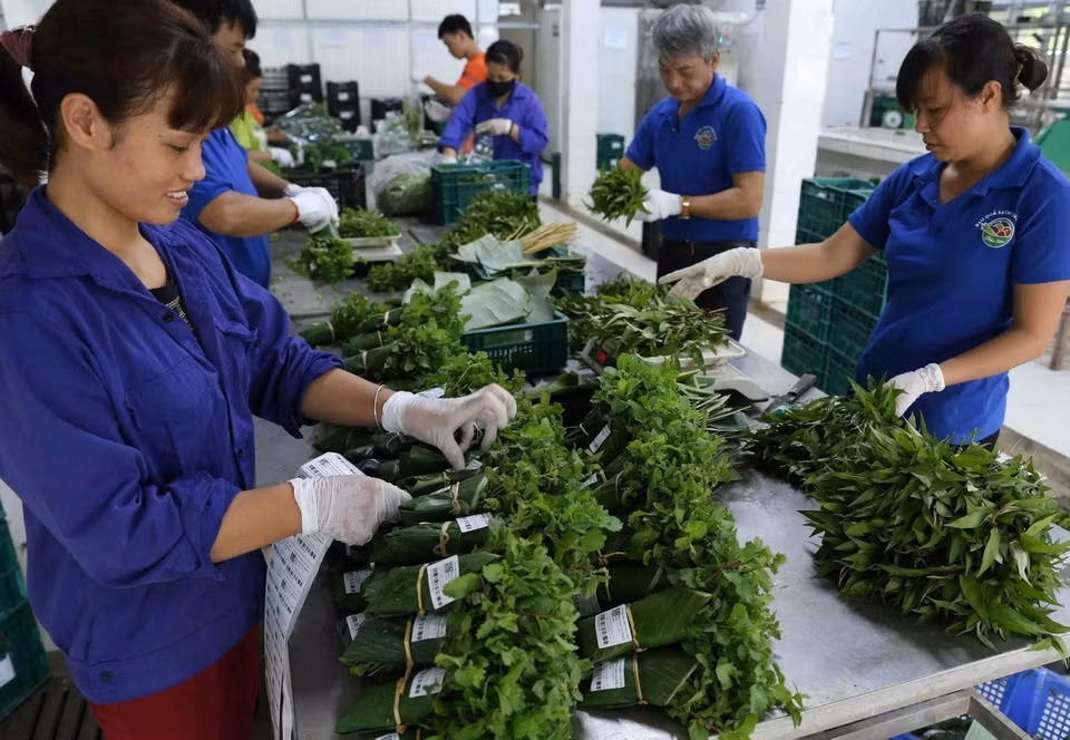 不使用食品袋和塑料袋也是保护清洁水源的极其有效的措施。图自越通社