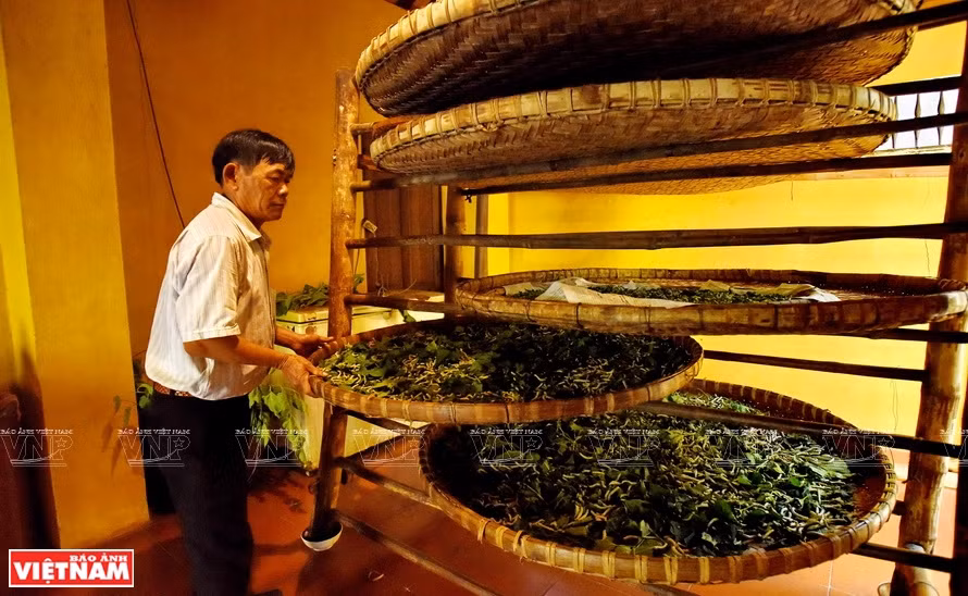 有400年历史的广南养蚕业。越通社记者 清和 摄