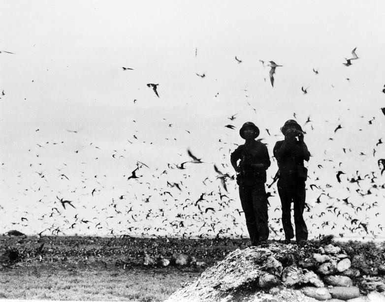 1975年4月29日，海军特工力量在刚获解放的长沙群岛。越通社记者 阮刻岁 摄