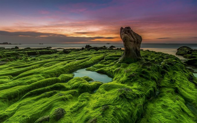 胡忠林摄影师自然主题的名为《古石草地》 的摄影作品。胡忠林 摄