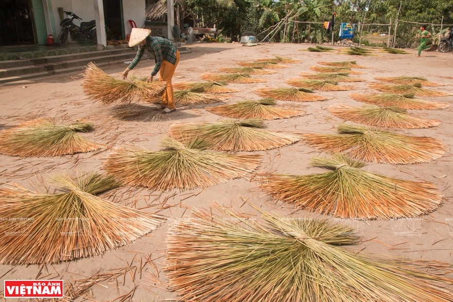 乡里大多数女性从小就会用蒲草编织物品。越通社记者 成达 摄