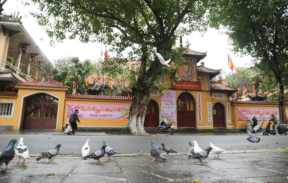 为了展开落实政府总理管理有关保持社会距离的指示，尽管是农历三十号，但没有人在这里聚集。越通社记者 清松 摄