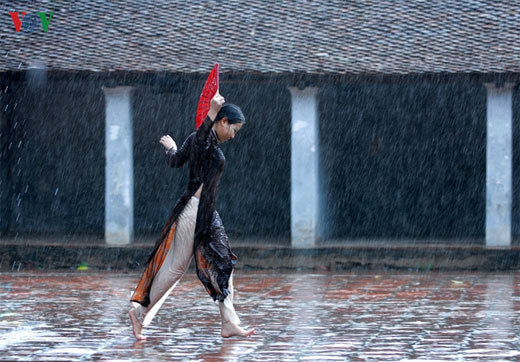 参展的一些作品（图片来源：vov.vn）