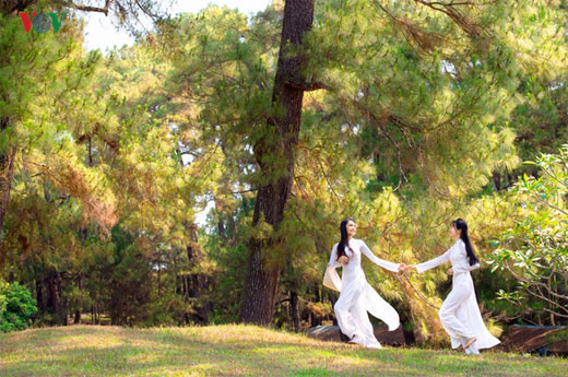 参展的一些作品（图片来源：vov.vn）