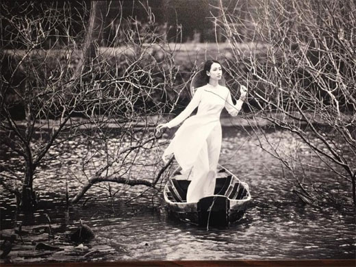 参展的一些作品（图片来源：laodongthudo.vn）