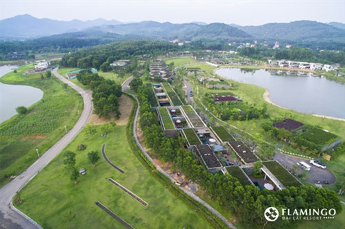 （图片来源：flamingodailai.com）