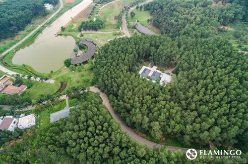 绿色覆盖大部分度假村（图片来源：flamingodailai.com）