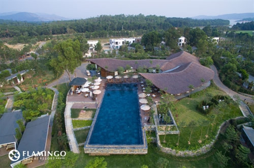 （图片来源：flamingodailai.com）