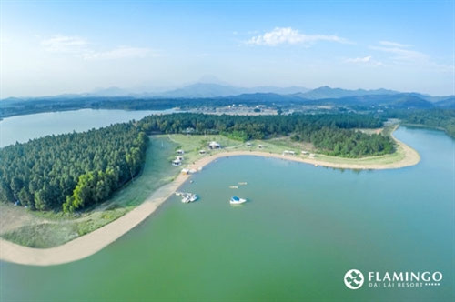 （图片来源：flamingodailai.com）