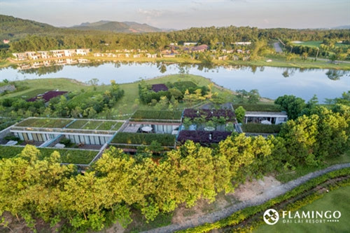 （图片来源：flamingodailai.com）