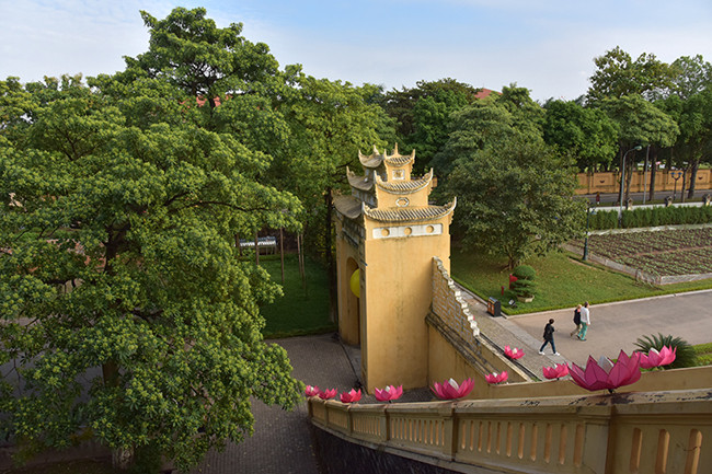升龙皇城到处都是树木，成为对国内外游客具有吸引力的地点之一。（图片来源：《人民报网》）