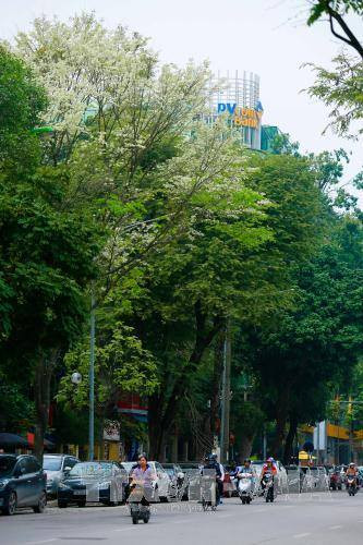 （图片来源：越通社）