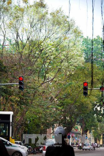 （图片来源：越通社）