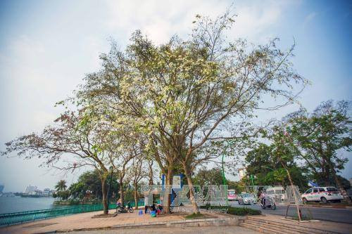 （图片来源：越通社）