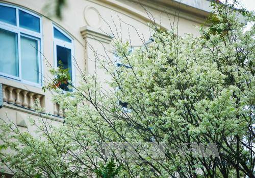 （图片来源：越通社）