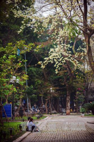 （图片来源：越通社）