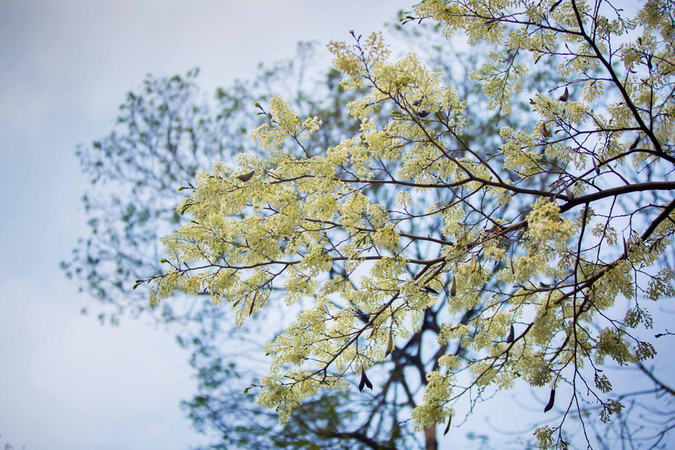 （图片来源：越通社）