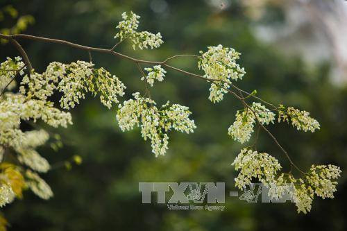 （图片来源：越通社）