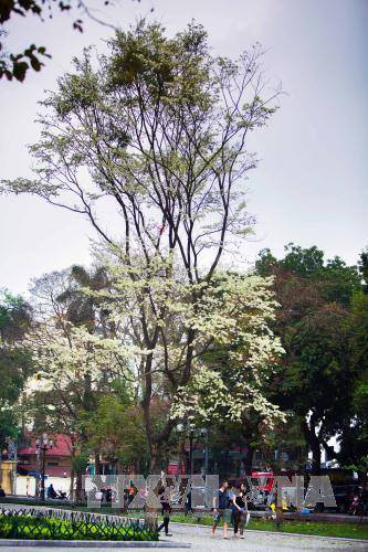 （图片来源：越通社）