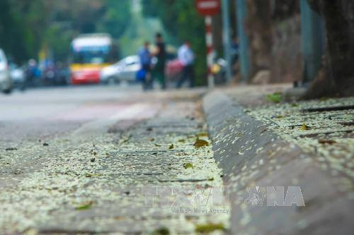 （图片来源：越通社）