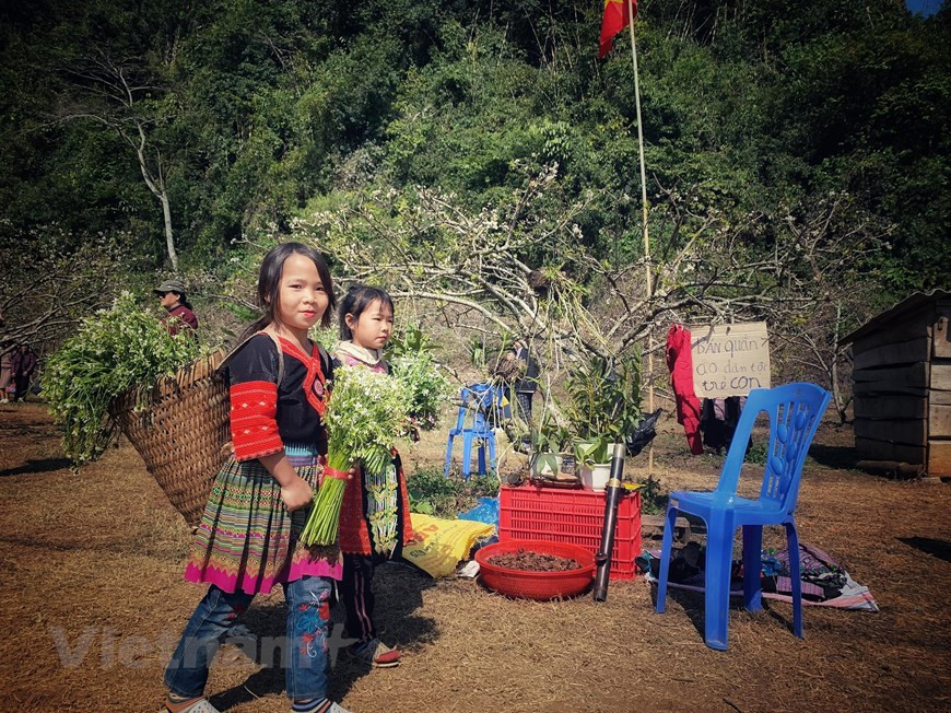 农业产品在旅游景区销售。Vietnam+记者春梅摄