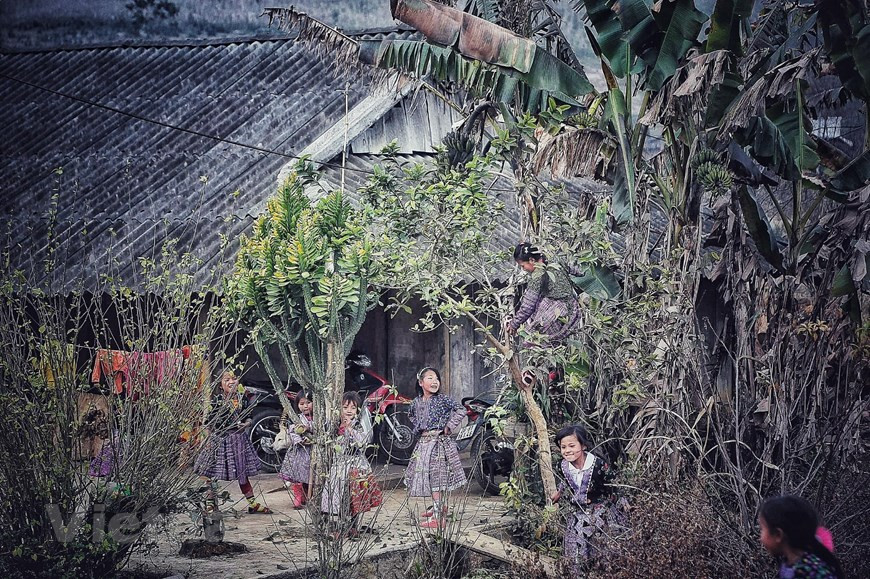 木州县新立乡潘景村的蒙族孩子们喜迎春节到来。Vietnam+记者 春梅摄。