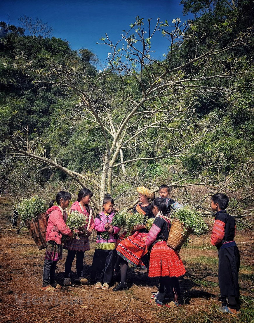 孩子们穿上五颜六色的传统衣服，迎接新春到来。Vietnam+记者 春梅摄