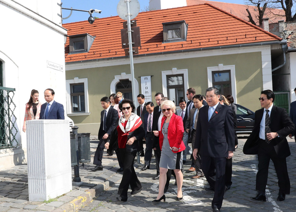 阮氏金银同越南国会高级代表团参观山丹丹镇。（图片来源：越通社）