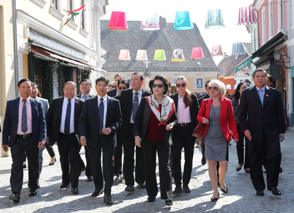 阮氏金银同越南国会高级代表团参观山丹丹镇。（图片来源：越通社）