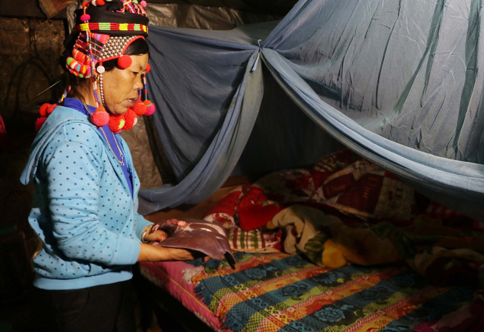 杀猪之后，家主取猪肝祭祀祖先，祈求新年好运。越通社记者 贵忠 摄