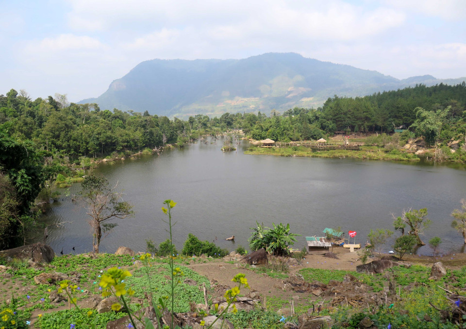 犹如沿海红树林的自然景观。越通社记者 春进 摄