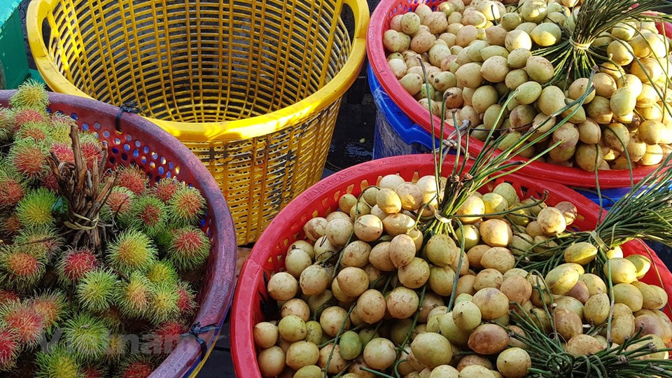 当地和附近居民常使用中型木船运输农产品到丐冷水上集市销售，而商贩则使用大型木船运输水果、农产品到各地销售。沉浸在集市早晨的热闹氛围中，游客可亲眼一睹和了解多代同堂的水上商贩家庭。丐冷水上集市于2016年被越南文化体育旅游部公认为国家非物质文化遗产。图自Vietnam+