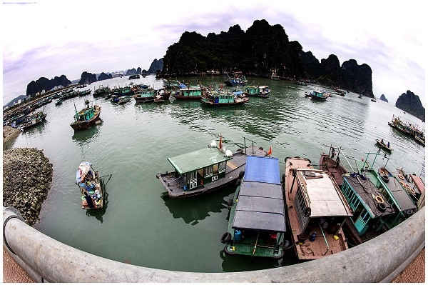 （图片来源：越南边防报）